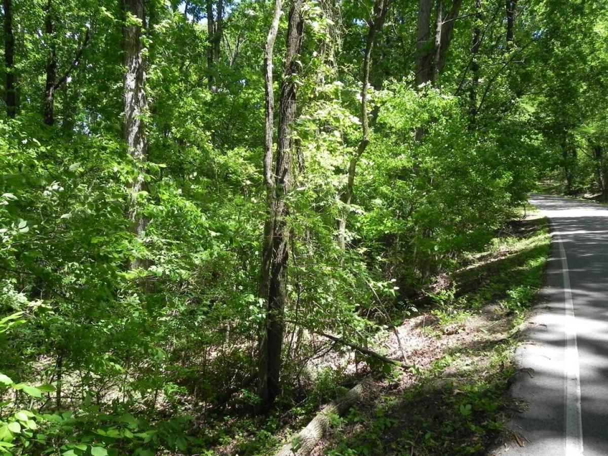 Picture of Residential Land For Sale in Hixson, Tennessee, United States