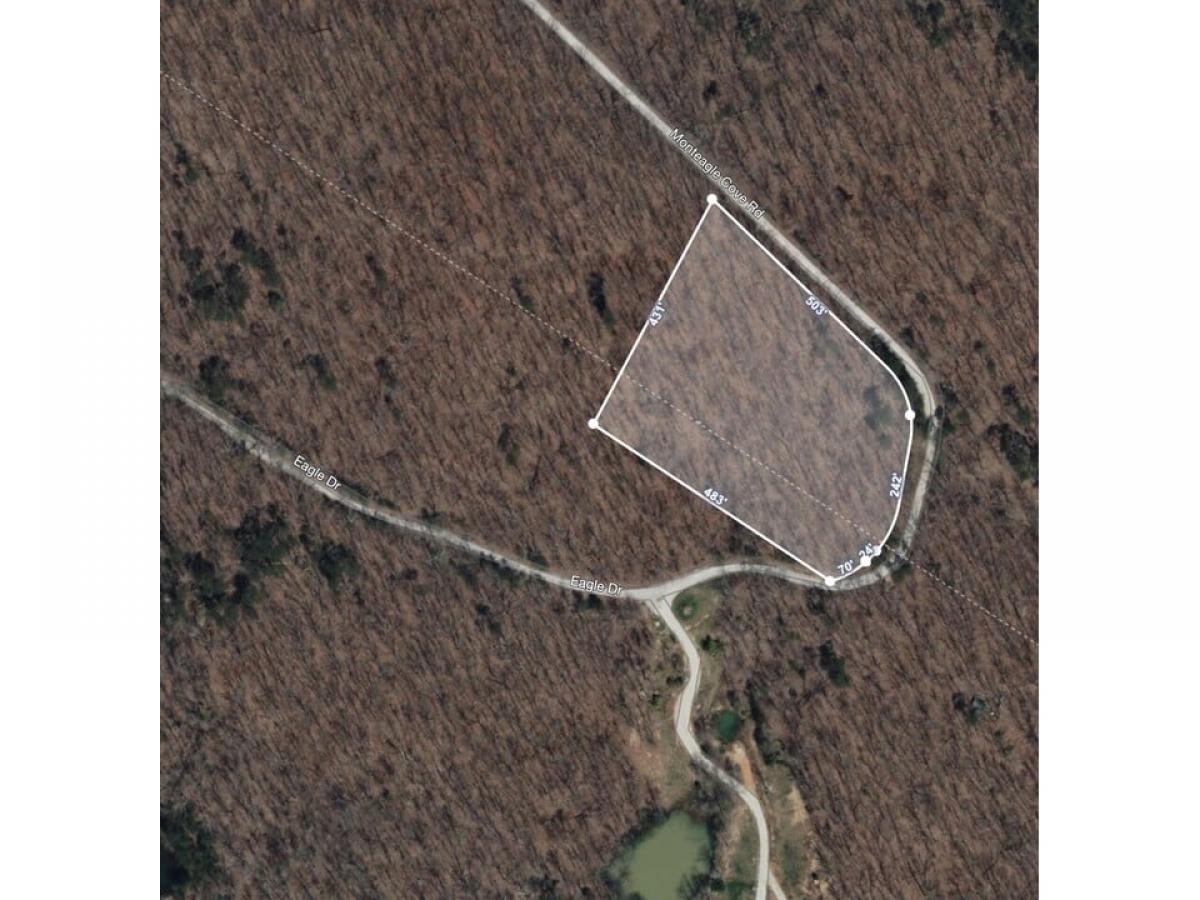 Picture of Residential Land For Sale in Monteagle, Tennessee, United States