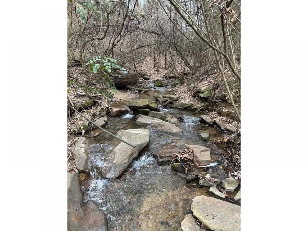 Picture of Residential Land For Sale in Lookout Mountain, Tennessee, United States