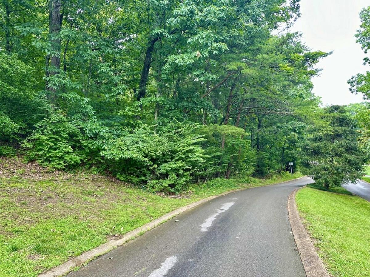 Picture of Residential Land For Sale in Signal Mountain, Tennessee, United States