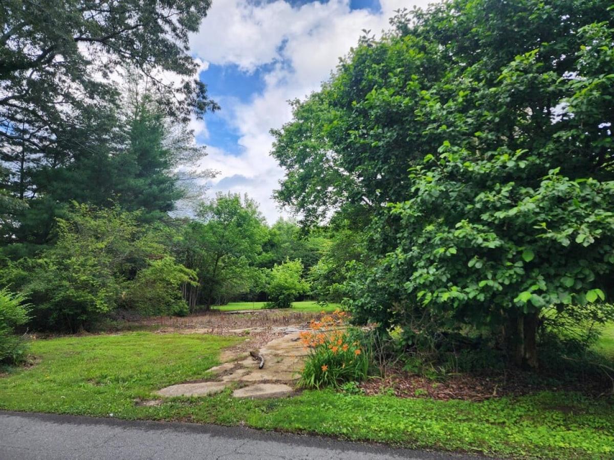 Picture of Residential Land For Sale in Sylvania, Alabama, United States