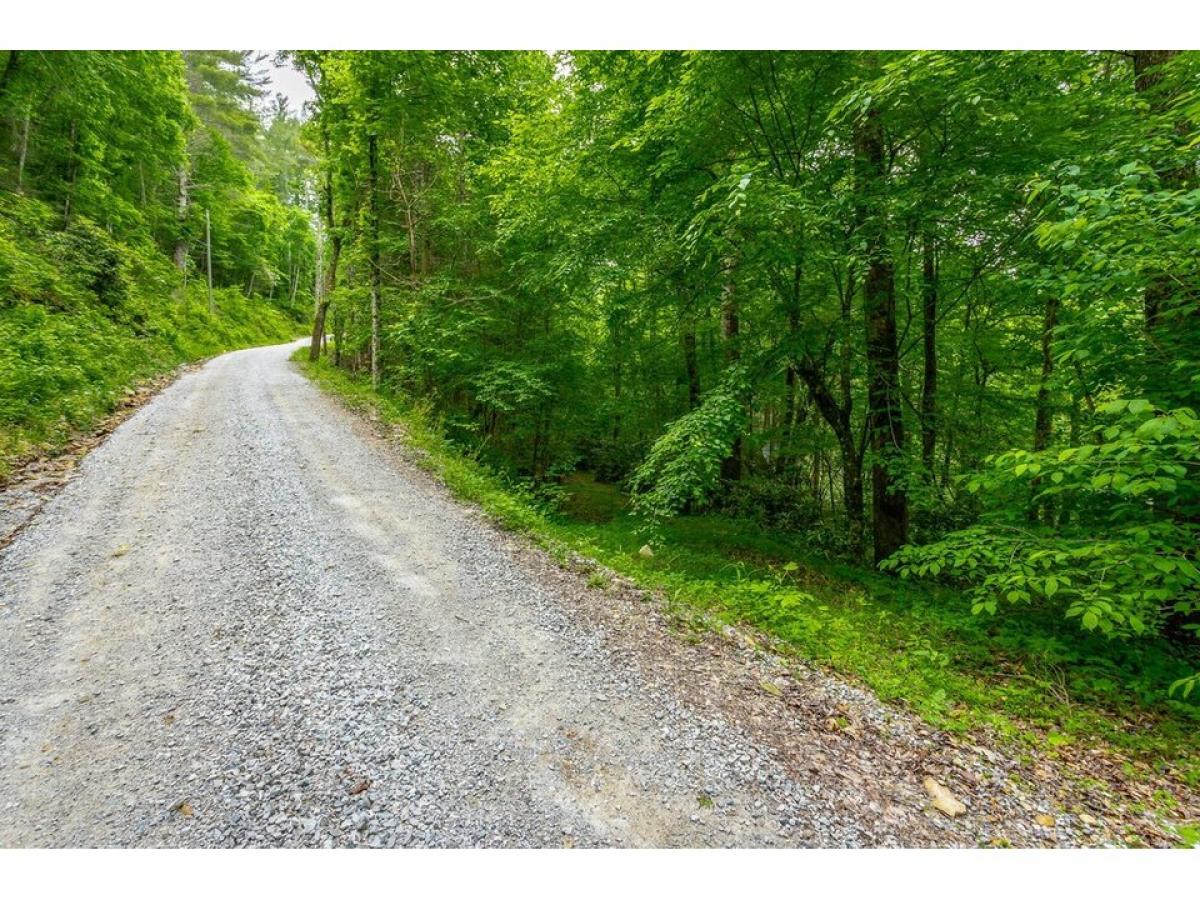 Picture of Residential Land For Sale in Tellico Plains, Tennessee, United States