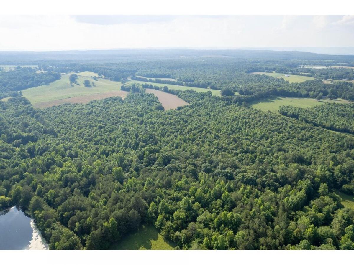 Picture of Residential Land For Sale in Higdon, Alabama, United States