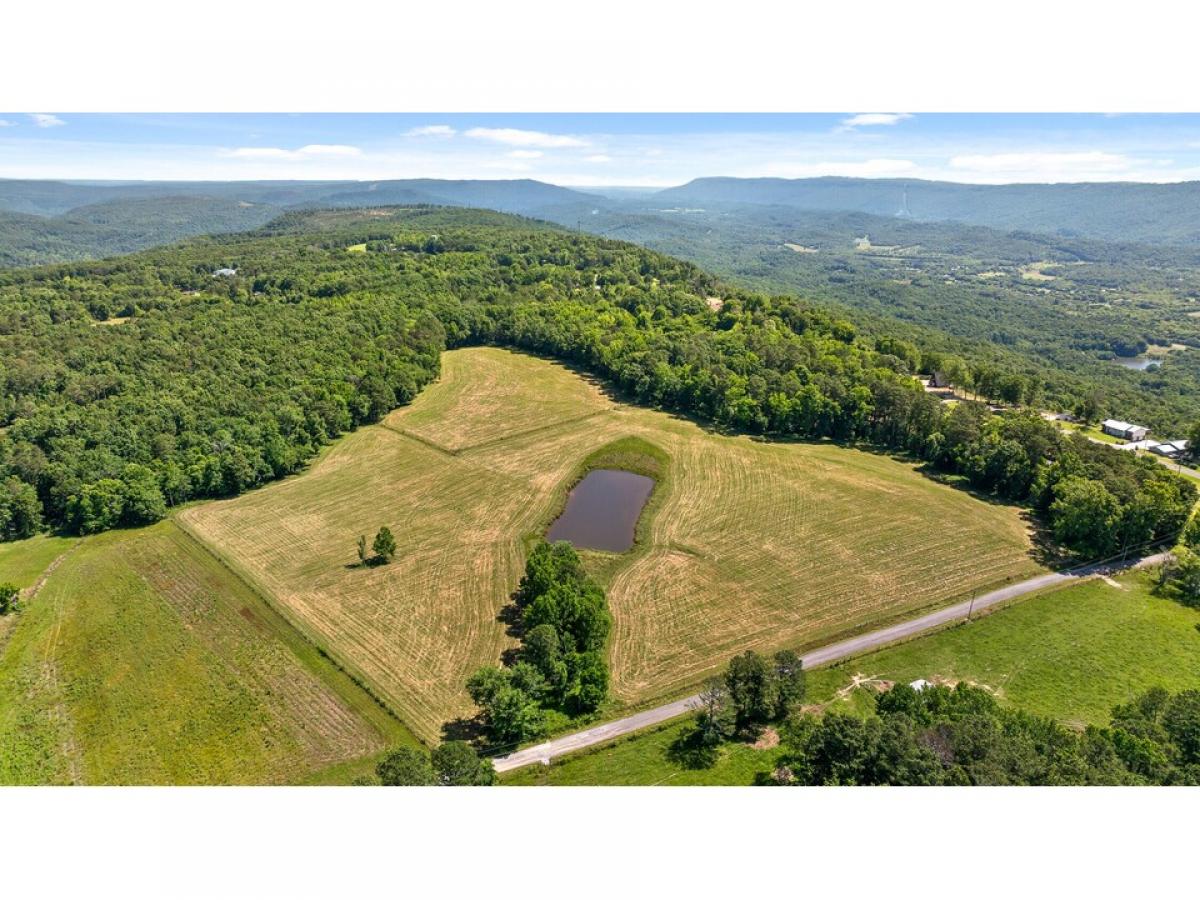 Picture of Residential Land For Sale in Trenton, Georgia, United States