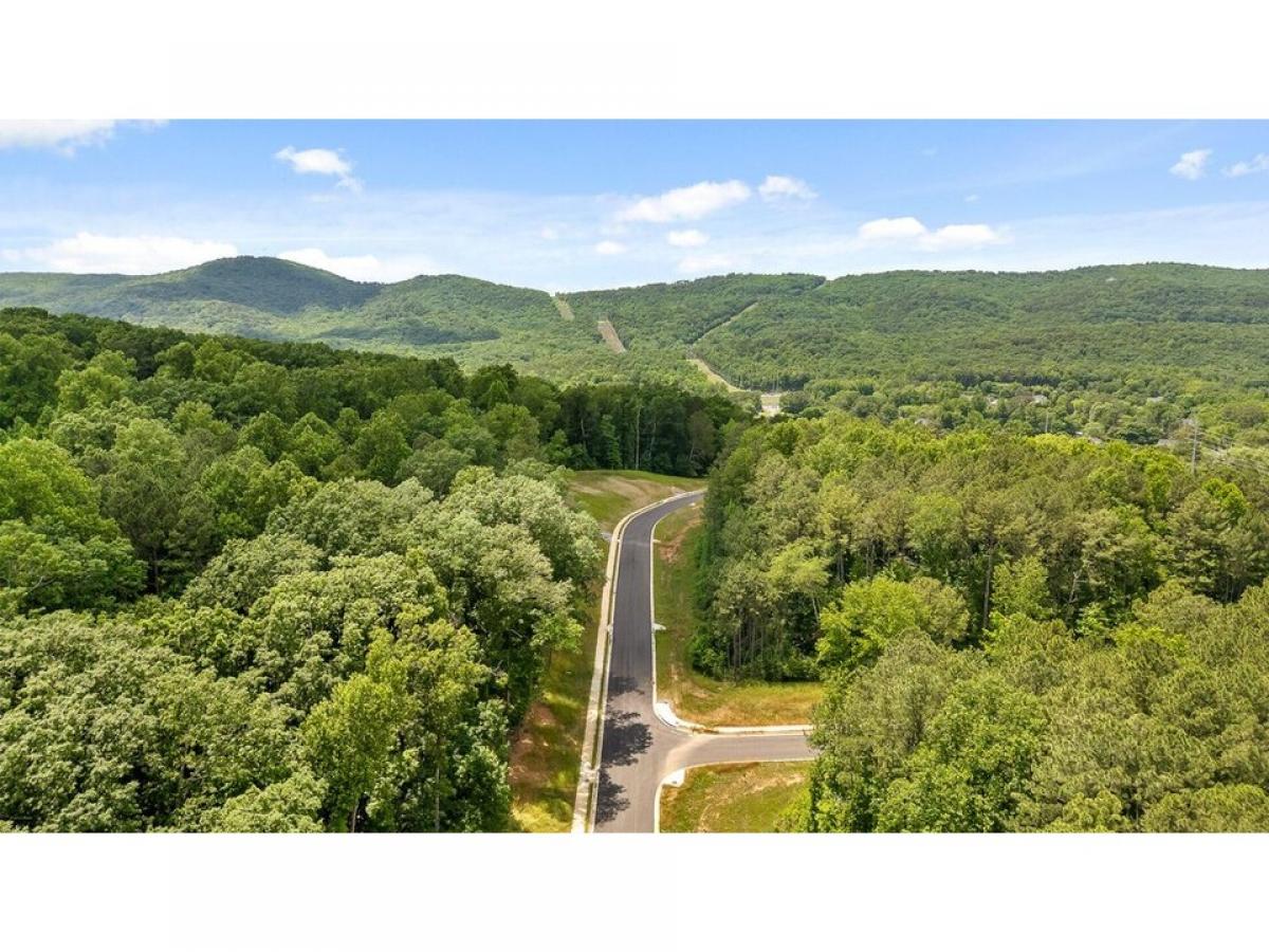 Picture of Residential Land For Sale in Dalton, Georgia, United States