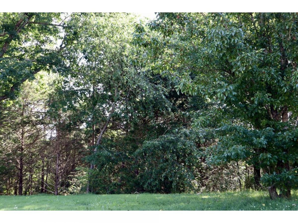 Picture of Residential Land For Sale in Ooltewah, Tennessee, United States