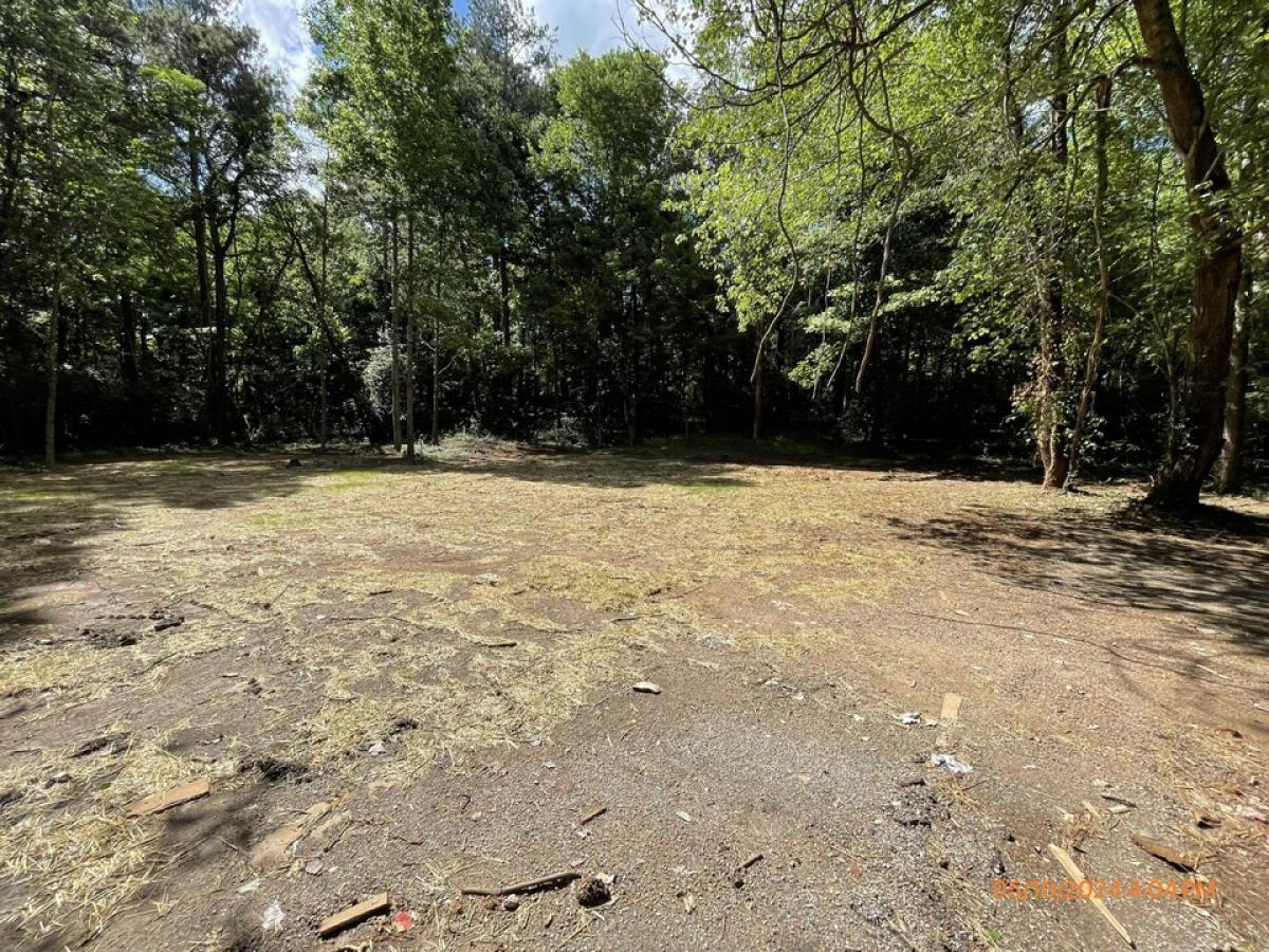 Picture of Residential Land For Sale in Menlo, Georgia, United States