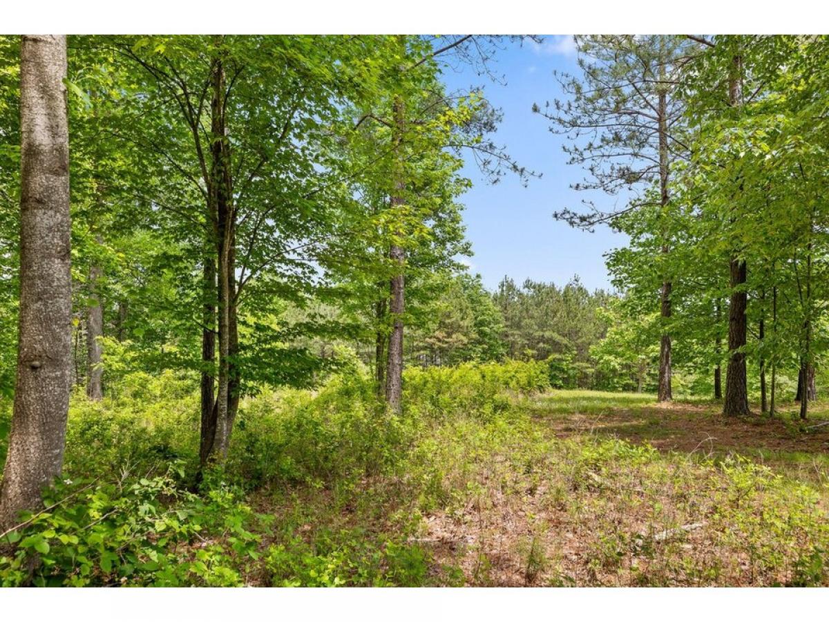 Picture of Residential Land For Sale in Jasper, Tennessee, United States