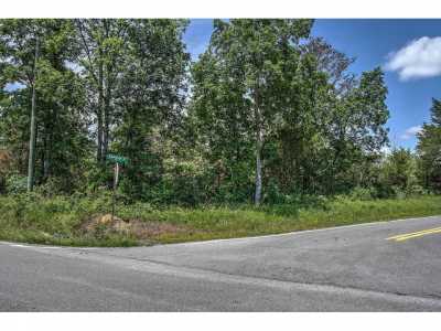 Residential Land For Sale in Trenton, Georgia