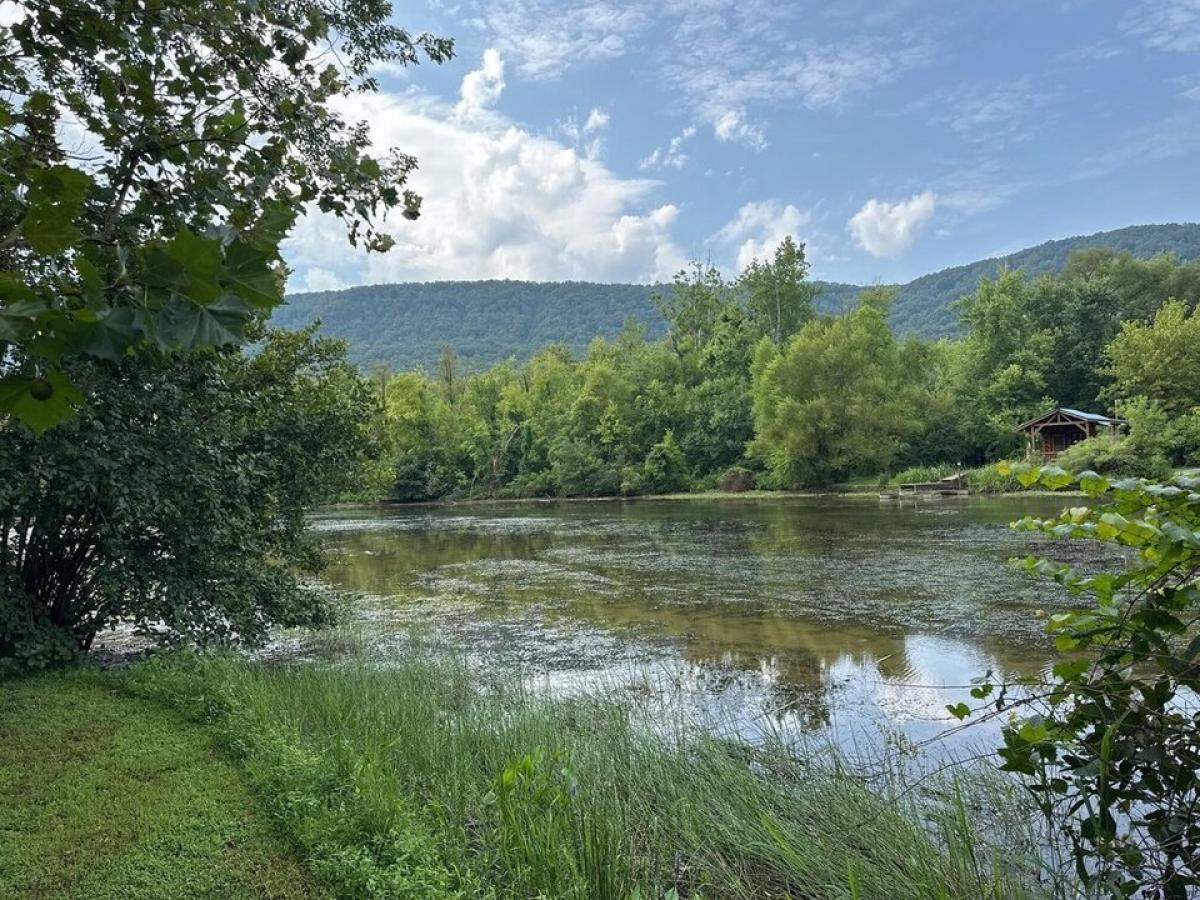 Picture of Residential Land For Sale in Whitwell, Tennessee, United States