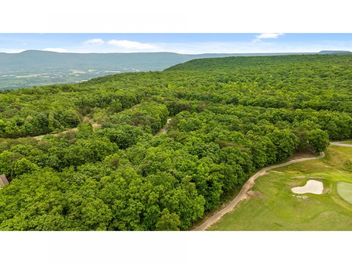 Picture of Residential Land For Sale in Rising Fawn, Georgia, United States