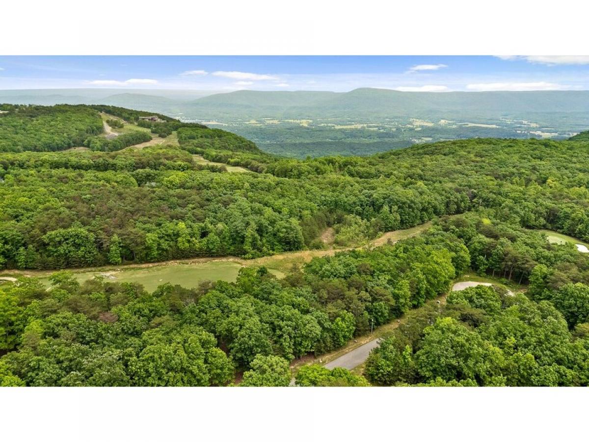 Picture of Residential Land For Sale in Rising Fawn, Georgia, United States