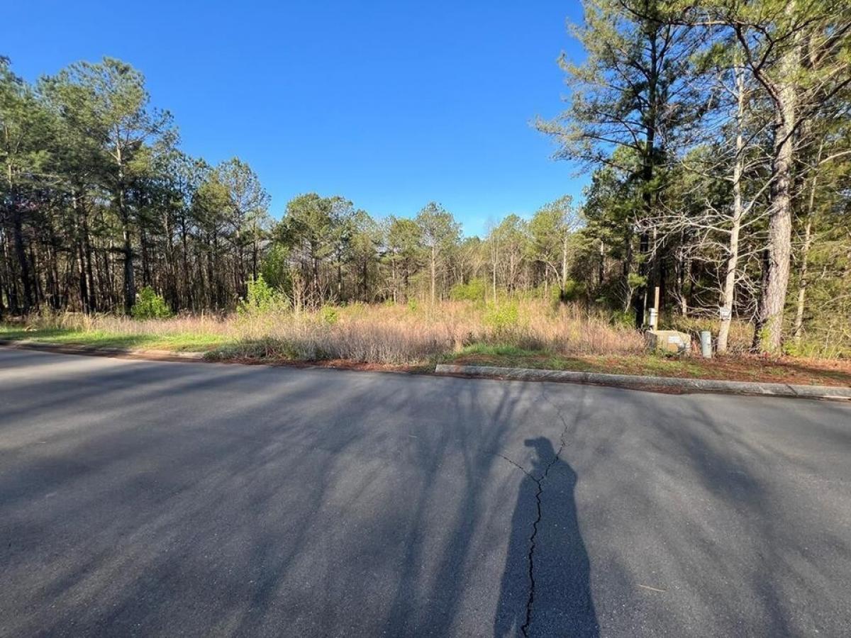 Picture of Residential Land For Sale in Chatsworth, Georgia, United States