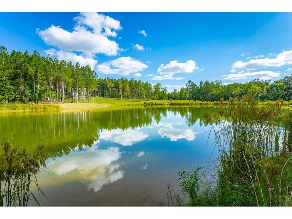 Picture of Residential Land For Sale in Jasper, Tennessee, United States