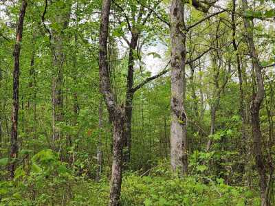 Residential Land For Sale in Mentone, Alabama