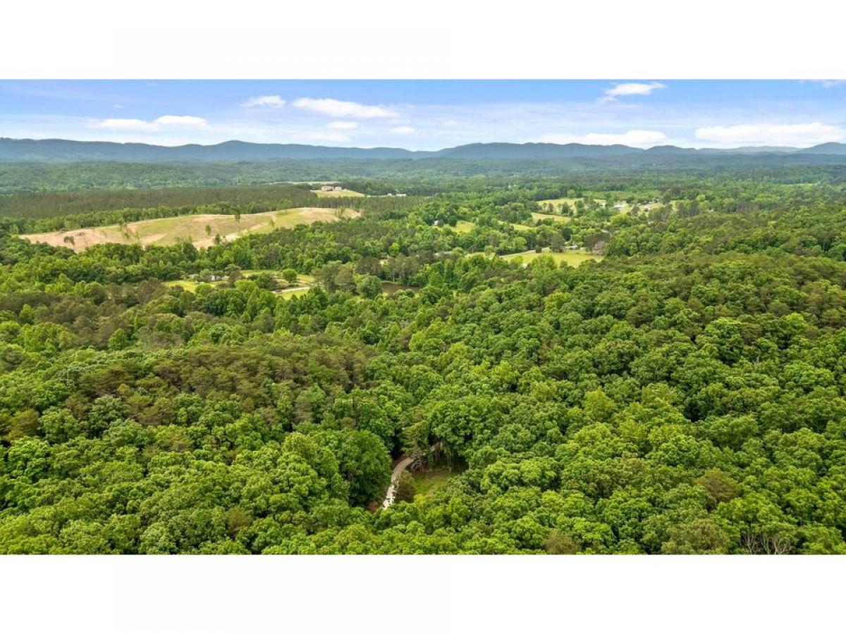 Picture of Home For Sale in Rocky Face, Georgia, United States