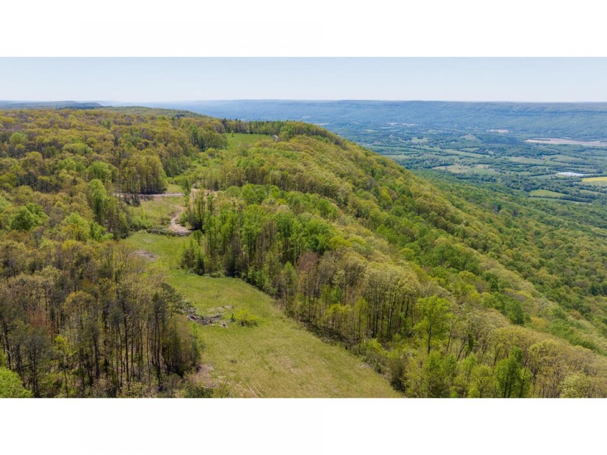 Picture of Residential Land For Sale in Signal Mountain, Tennessee, United States