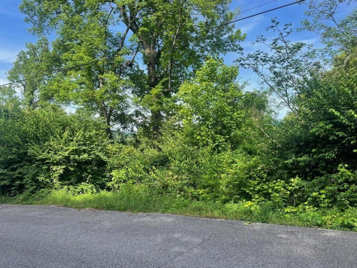 Picture of Residential Land For Sale in Chattanooga, Tennessee, United States