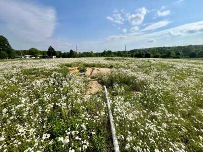 Residential Land For Sale in Bryant, Alabama