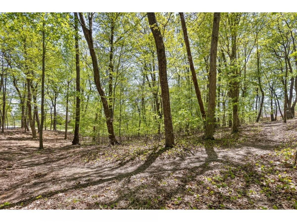 Picture of Residential Land For Sale in Lookout Mountain, Georgia, United States