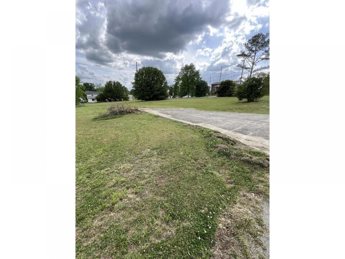 Picture of Residential Land For Sale in Trenton, Georgia, United States