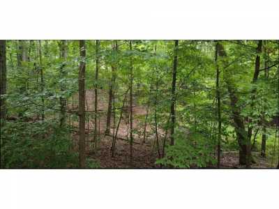 Residential Land For Sale in Spring City, Tennessee