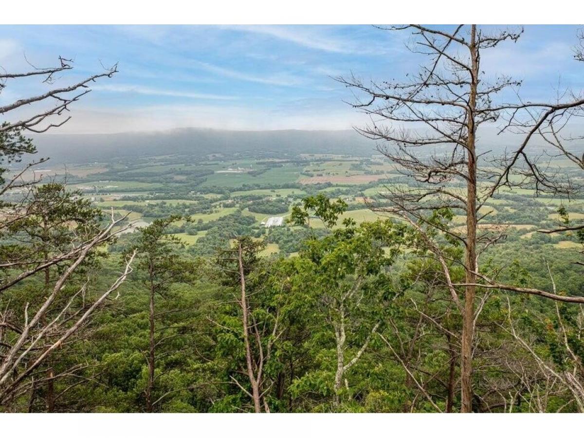 Picture of Residential Land For Sale in Pikeville, Tennessee, United States