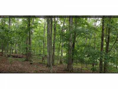 Residential Land For Sale in Spring City, Tennessee