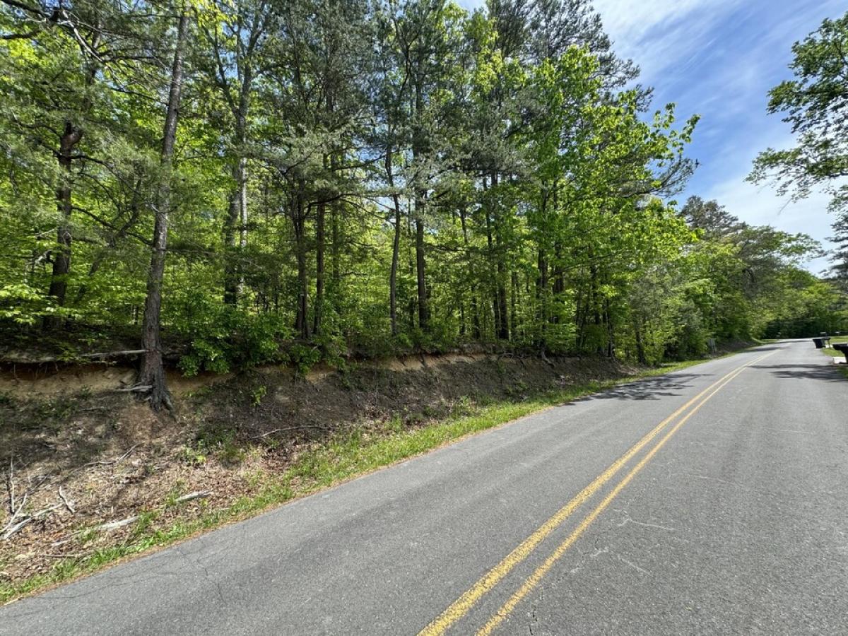 Picture of Residential Land For Sale in Rocky Face, Georgia, United States