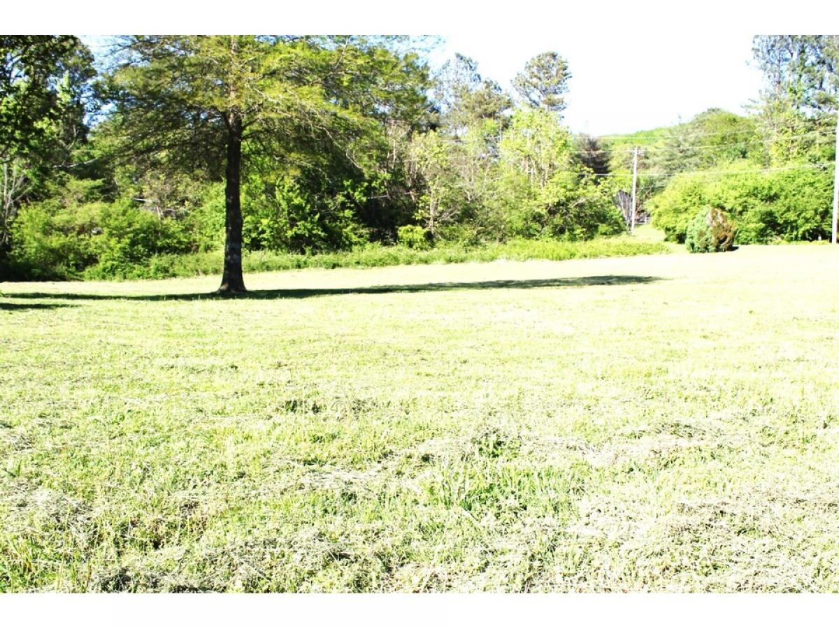 Picture of Residential Land For Sale in Rock Spring, Georgia, United States