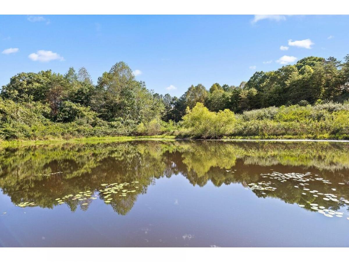 Picture of Residential Land For Sale in Dunlap, Tennessee, United States