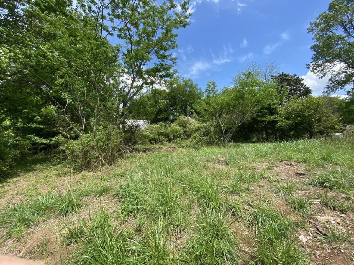 Picture of Residential Land For Sale in Lafayette, Georgia, United States