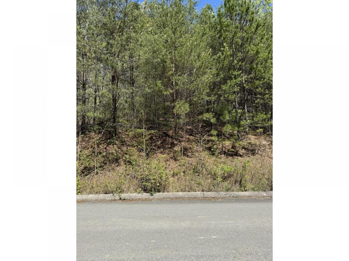 Picture of Residential Land For Sale in Dunlap, Tennessee, United States