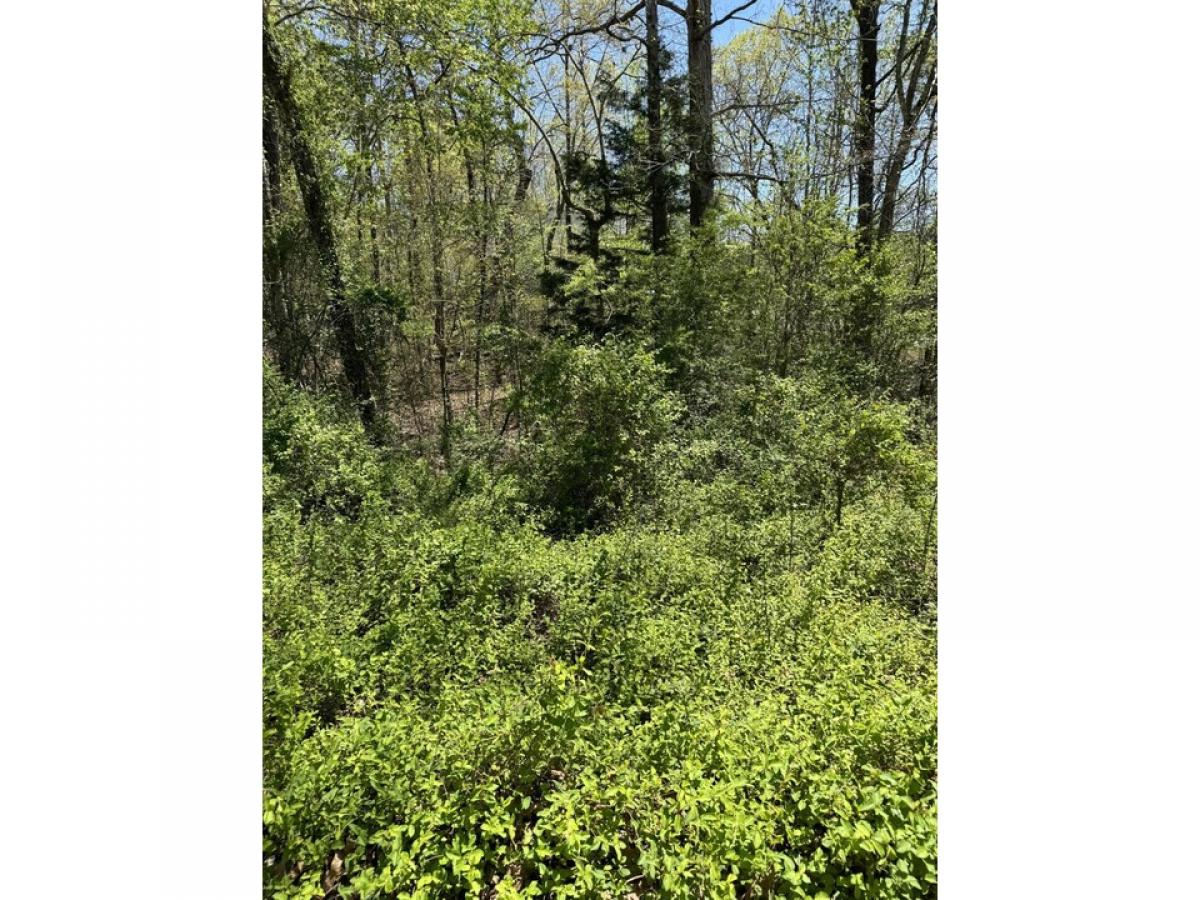 Picture of Residential Land For Sale in Dunlap, Tennessee, United States