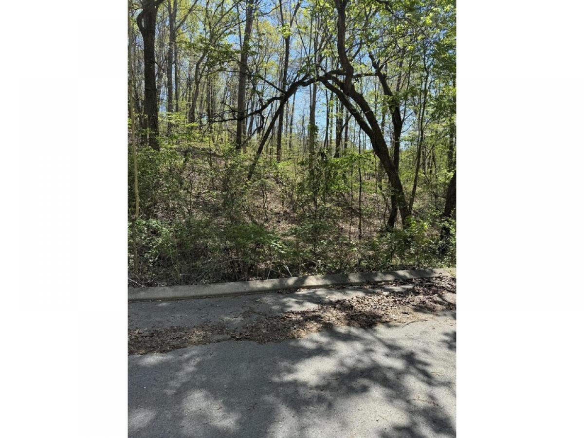 Picture of Residential Land For Sale in Dunlap, Tennessee, United States