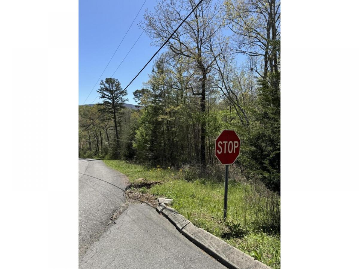 Picture of Residential Land For Sale in Dunlap, Tennessee, United States