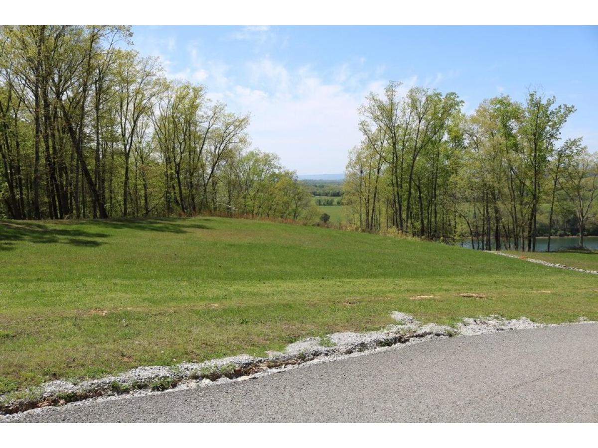 Picture of Residential Land For Sale in Decatur, Tennessee, United States