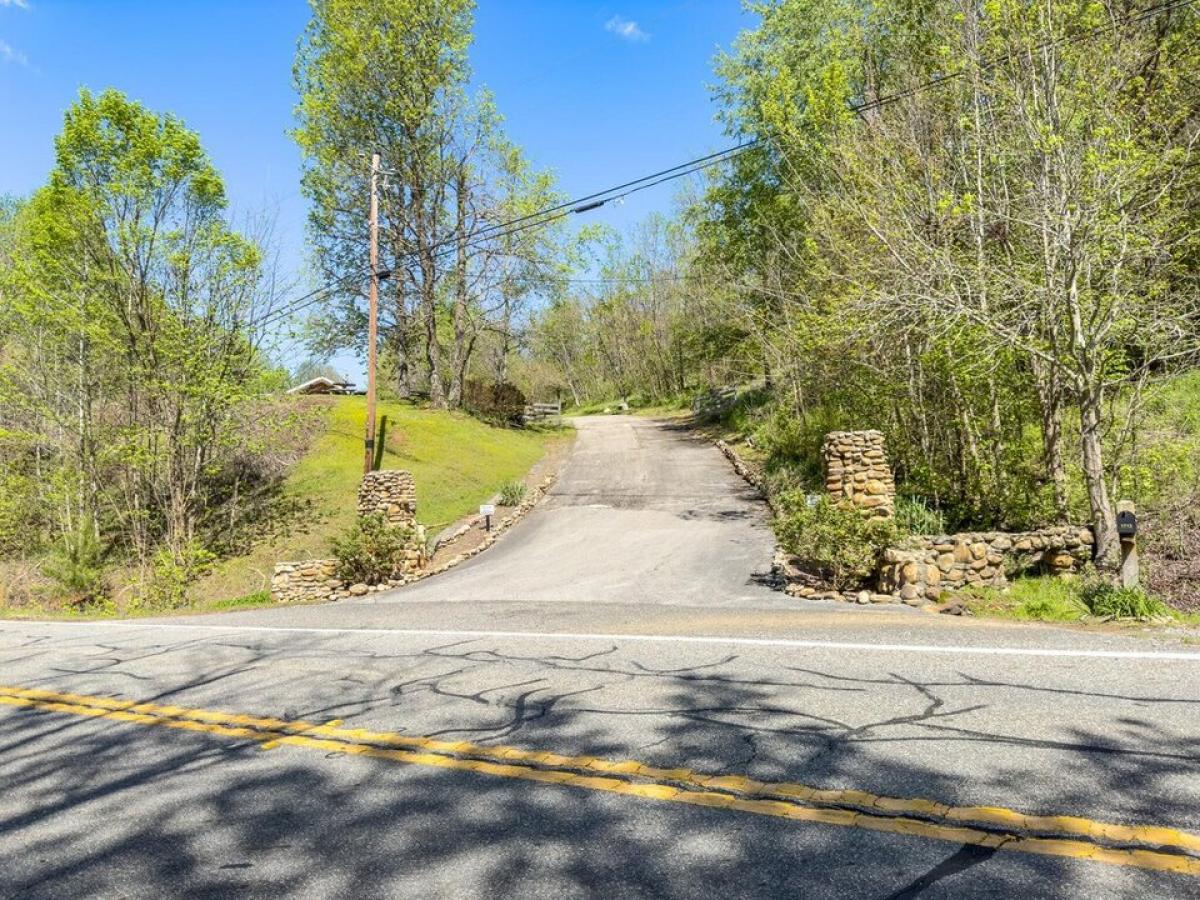 Picture of Residential Land For Sale in Chatsworth, Georgia, United States