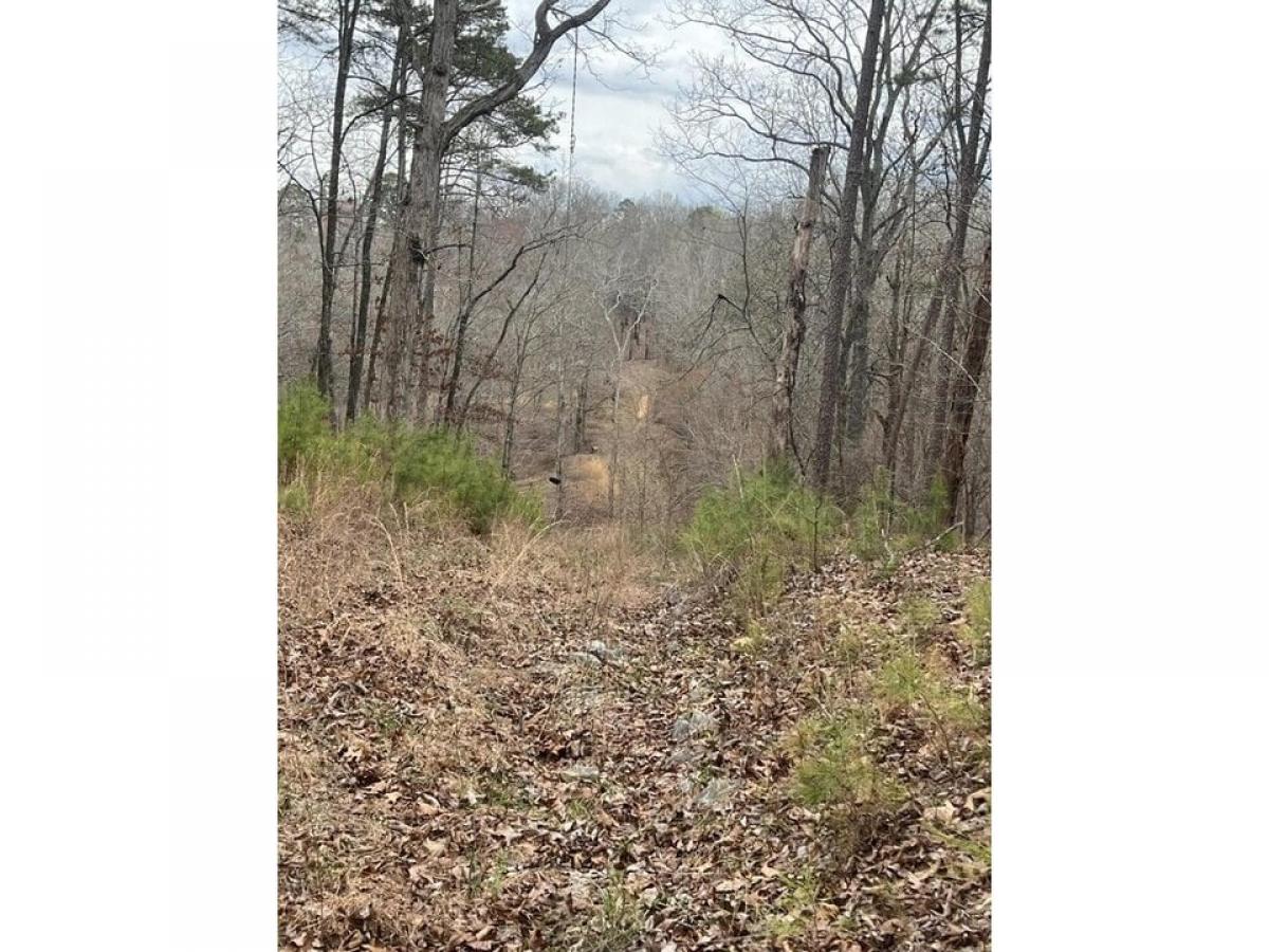 Picture of Residential Land For Sale in Soddy Daisy, Tennessee, United States