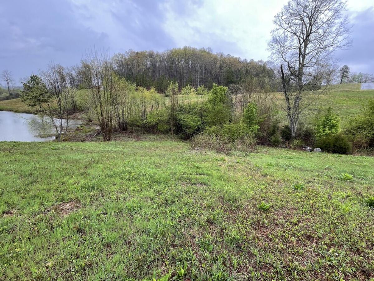 Picture of Residential Land For Sale in Loudon, Tennessee, United States