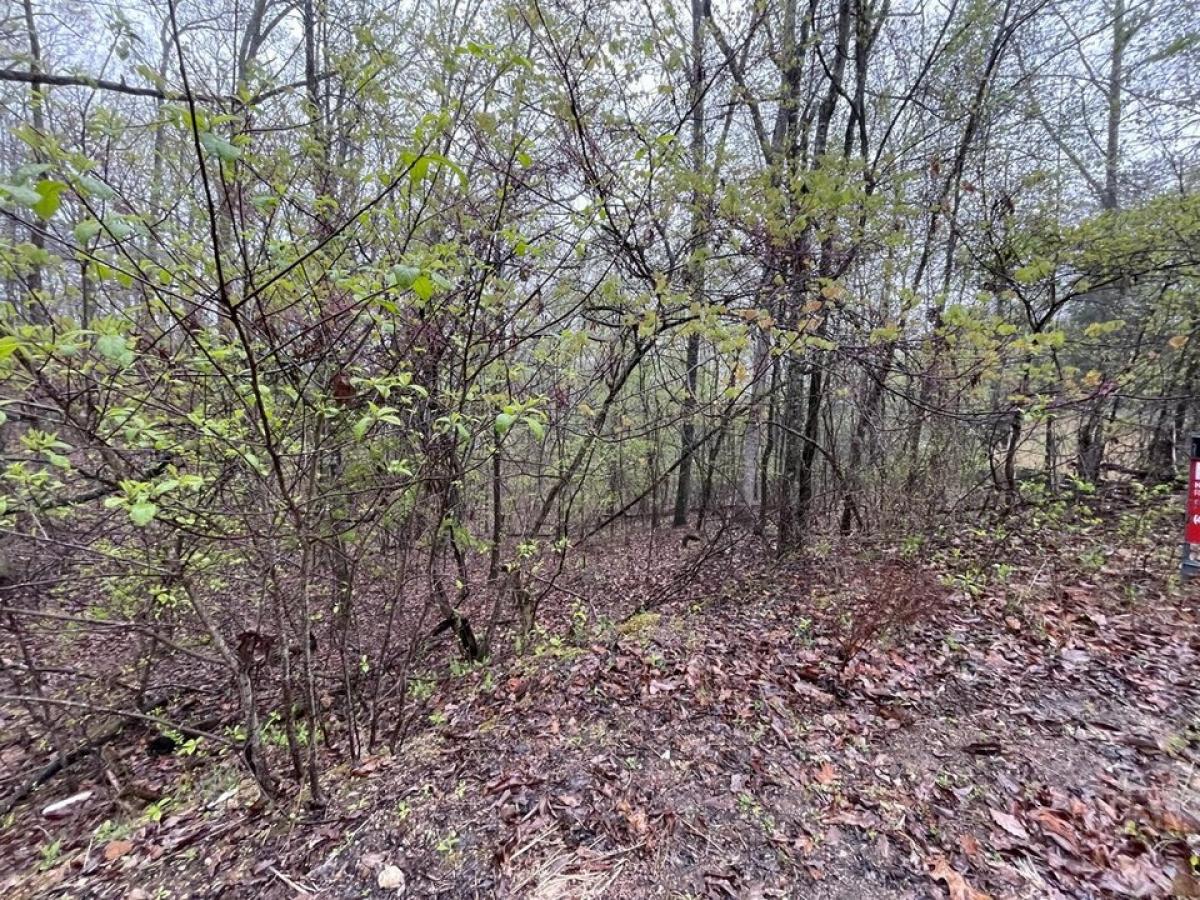 Picture of Residential Land For Rent in Spring City, Tennessee, United States