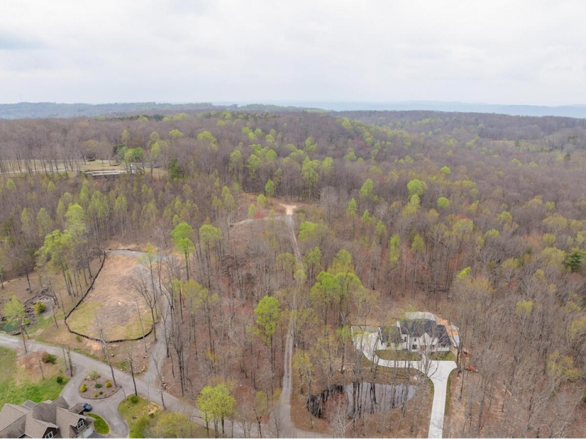 Picture of Residential Land For Sale in Lookout Mountain, Georgia, United States