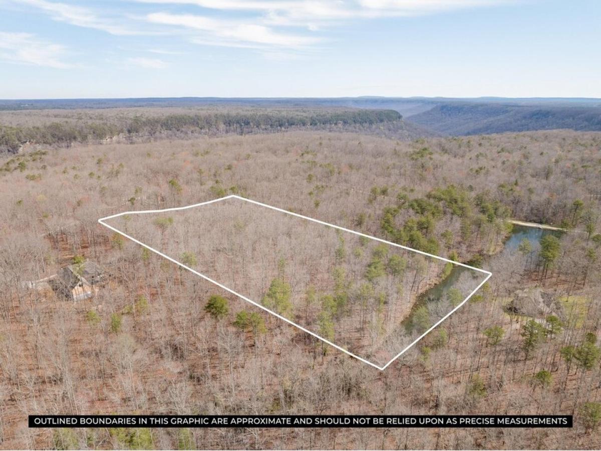 Picture of Residential Land For Sale in Coalmont, Tennessee, United States