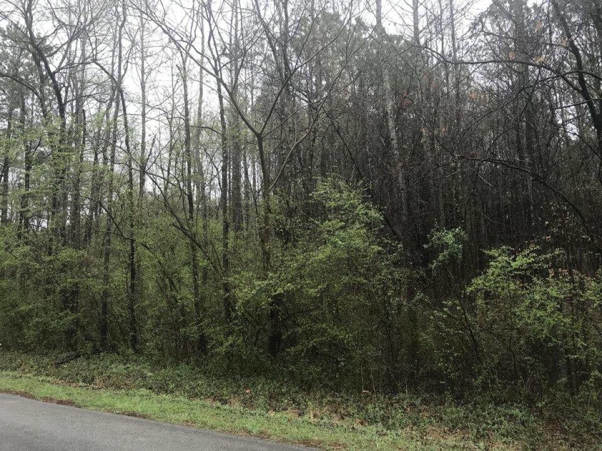 Picture of Residential Land For Sale in Lafayette, Georgia, United States