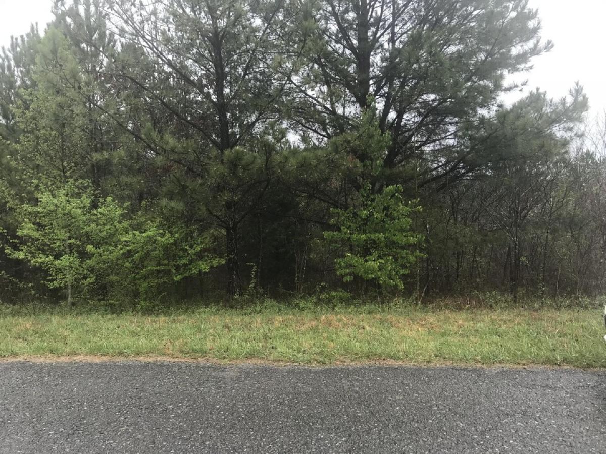 Picture of Residential Land For Sale in Lafayette, Georgia, United States