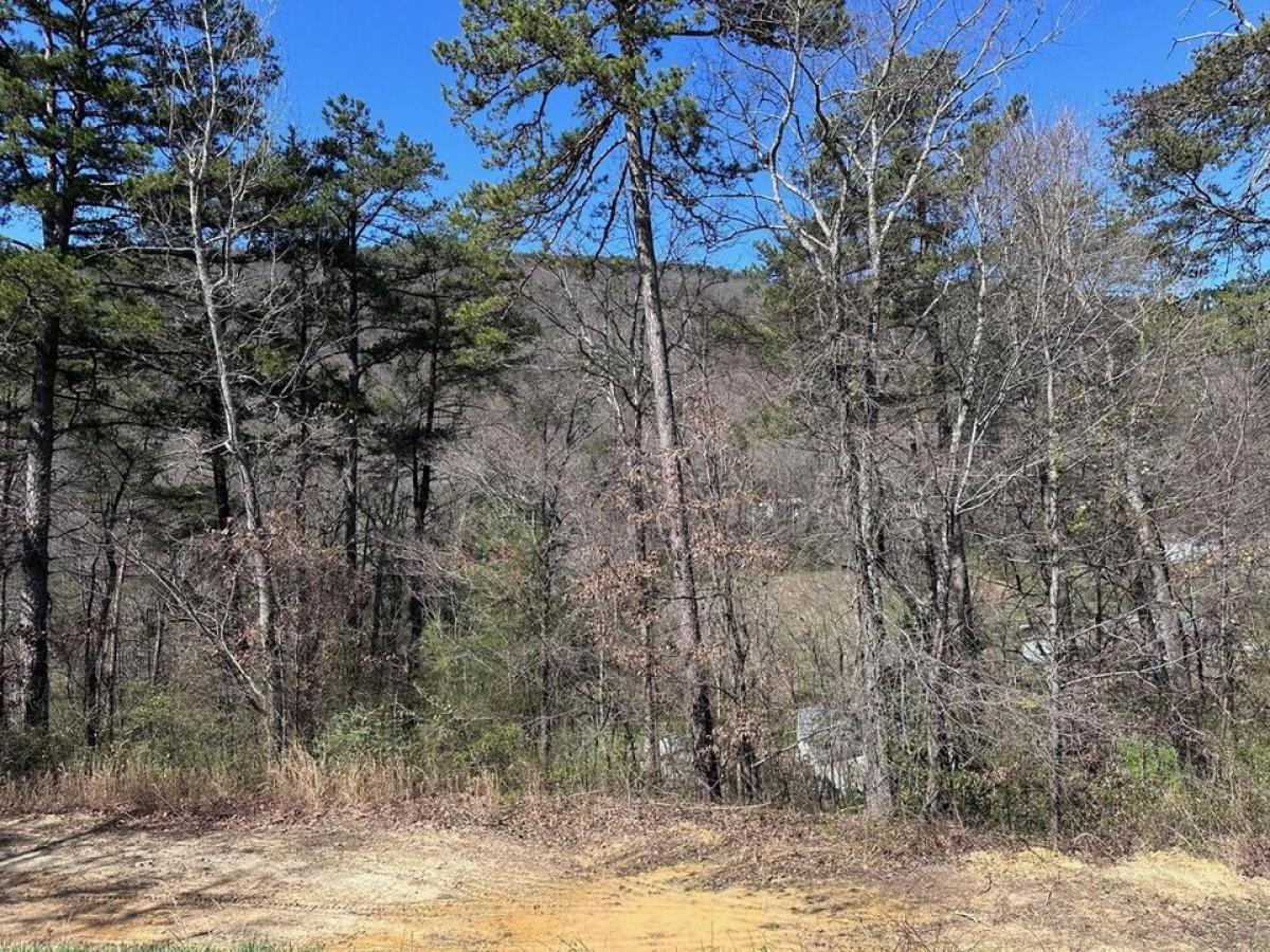 Picture of Residential Land For Sale in Soddy Daisy, Tennessee, United States