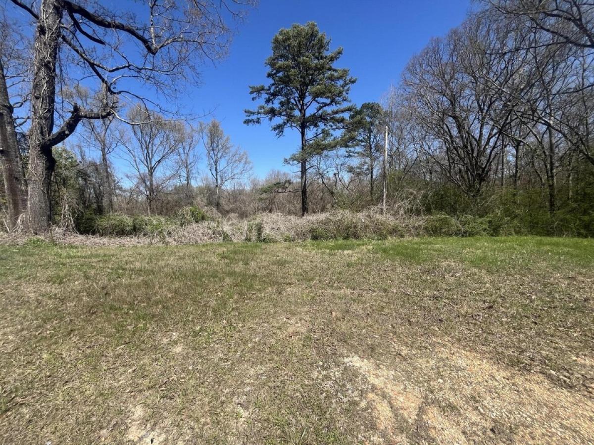 Picture of Residential Land For Sale in Bridgeport, Alabama, United States