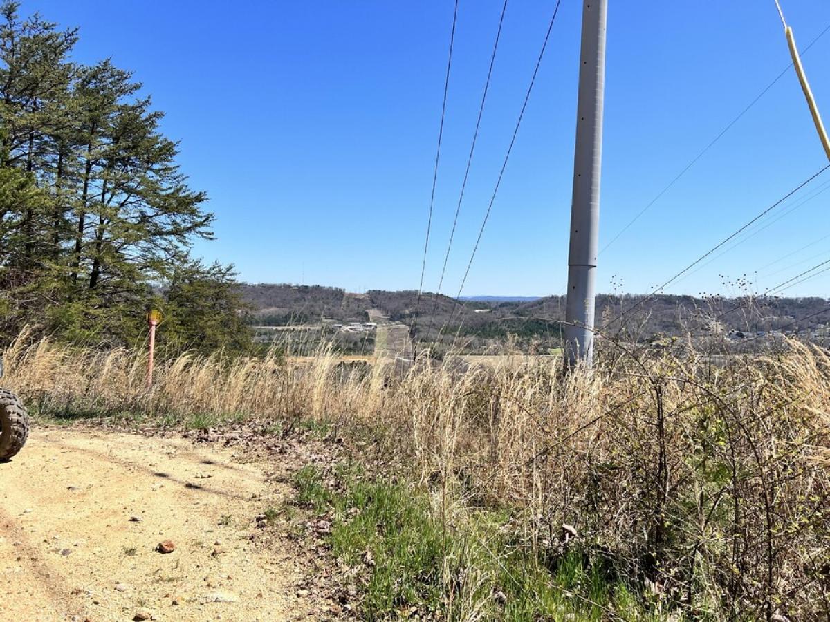 Picture of Residential Land For Sale in Flintstone, Georgia, United States