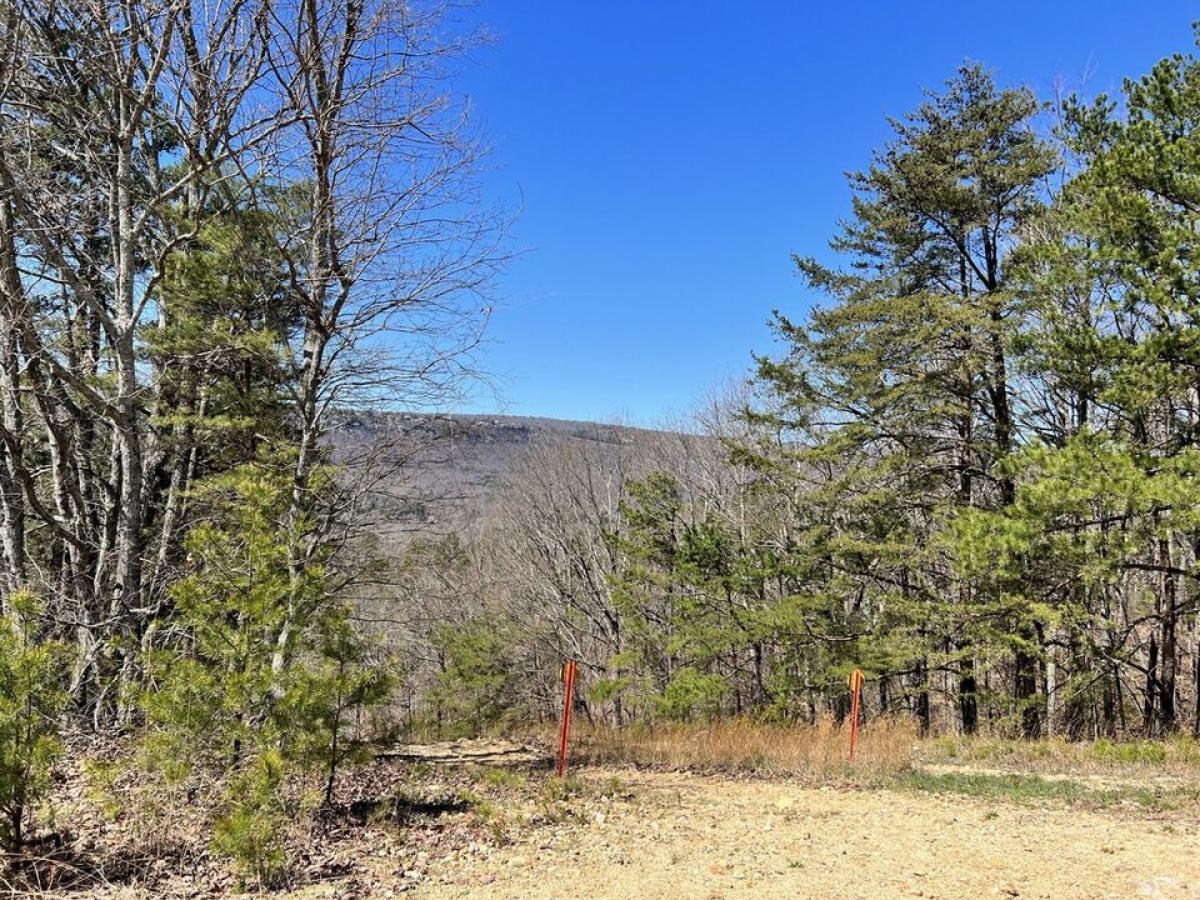 Picture of Residential Land For Sale in Flintstone, Georgia, United States