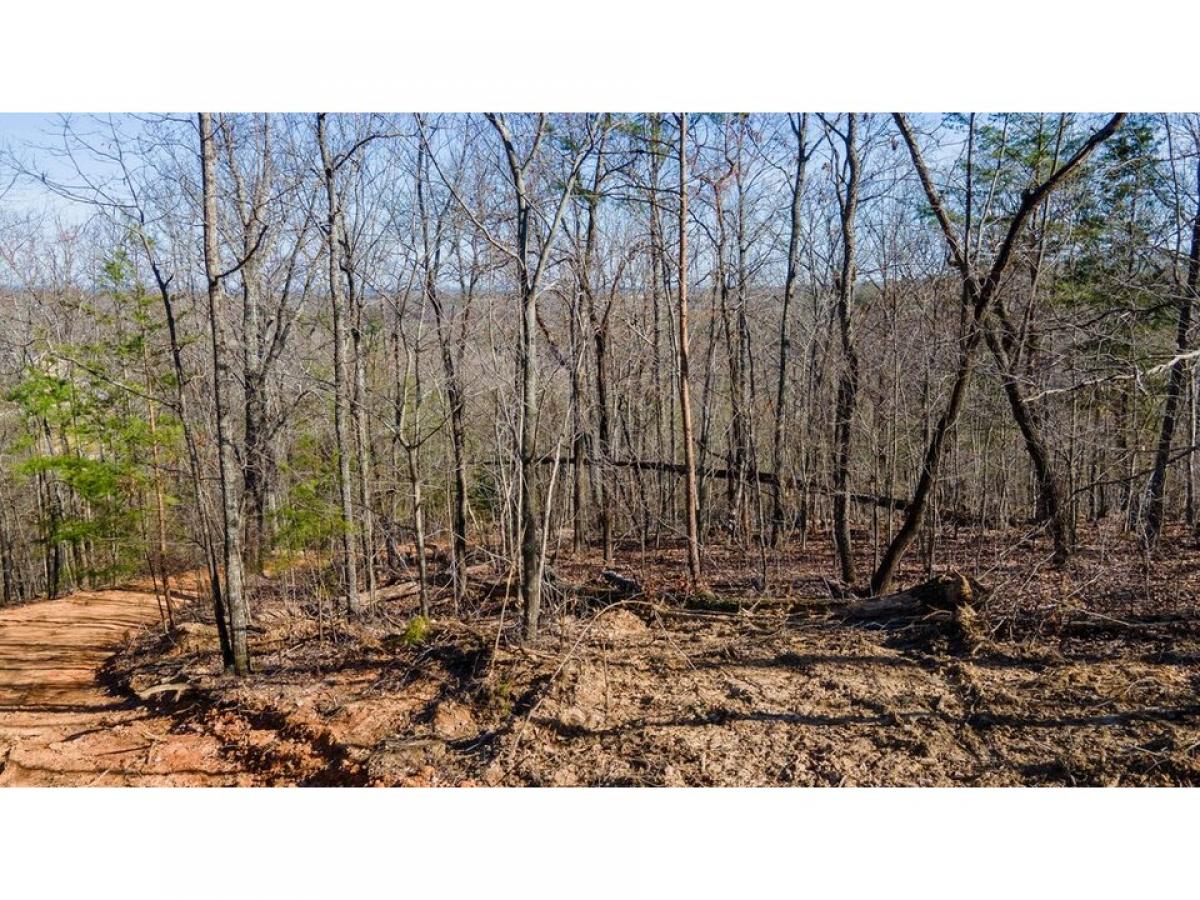 Picture of Residential Land For Sale in Chickamauga, Georgia, United States